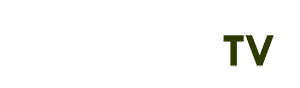 iphone 13 màu hồng